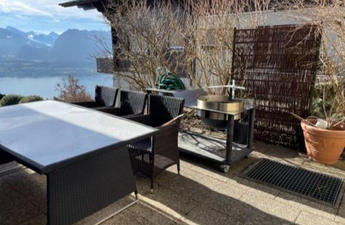 Aeschlen ob Gunten Apartment | Wohnung
