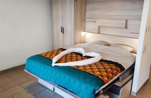 Saillon Apartment | Superbe Studio à Saillon les bains