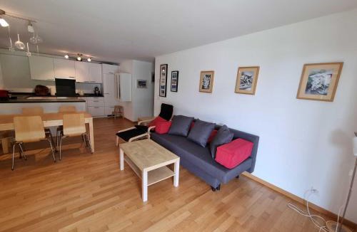 Muenster Apartment | Modern and bright apartment opposite ski-lift