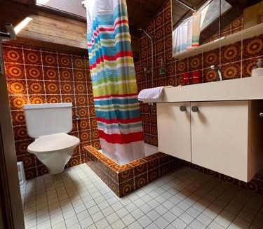 Saas im Prattigau Apartment | Entire Lovely Apartment with amazing view
