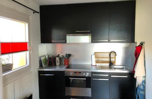 Veysonnaz Apartment | Le Coin Barlouka