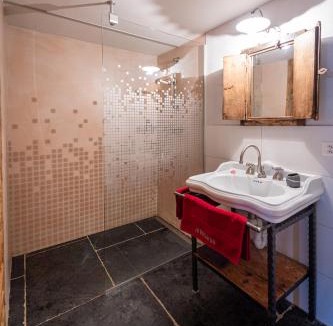 Mayens-de-Riddes Apartment | Le Vatzerou