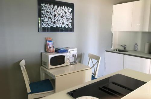 Nyon Apartment | Lac et Mont-Blanc