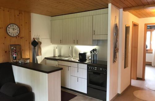 Zweisimmen Apartment | Ferienwohnung Résidence Sonnegg - Hein