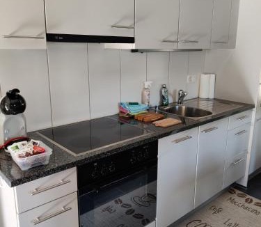 Matten bei Interlaken Apartment | Little Chalet Pirelli 1783