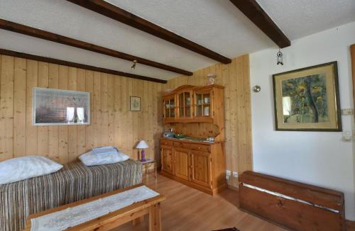 Tavanasa Apartment | Lovely Apartment with Terrace Balcony Heating Parking