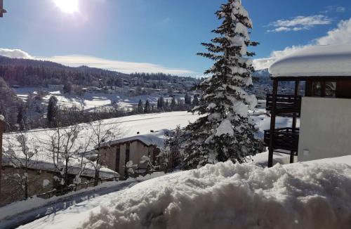 Flims Apartment | Panorama A23 Fitzi - Ferienwohnung für 1-2 Personen