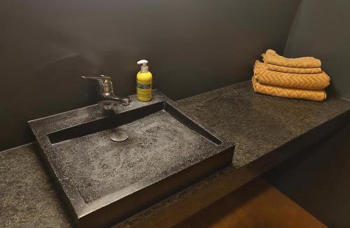 Vals Apartment | Z Studio - next door to Vals Therme