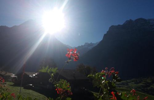 Grindelwald Apartment | Chalet uf em Stutz 2
