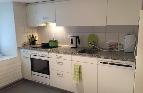 Meilen District Apartment | Gemütliche Ferienwohnung Zürichsee, Seeblick, am Hafen Stäfa
