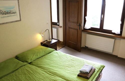 Berguen Apartment | Chesa Dominium