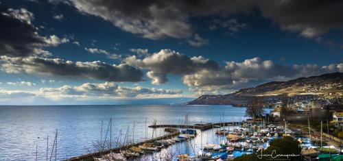 La Tour-de-Peilz Hotel | Hôtel Bon Rivage