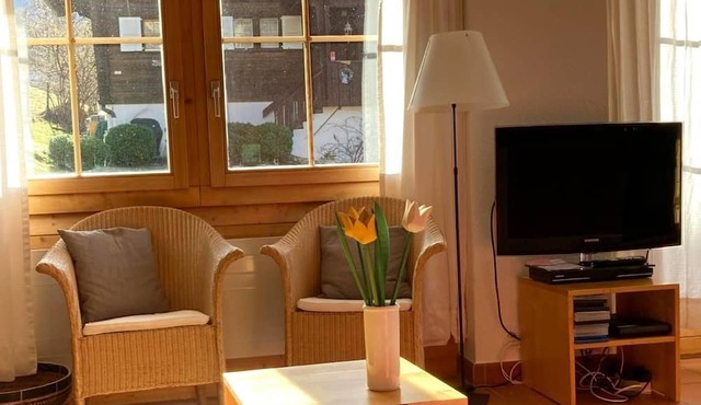Chalet Sunnsyta, sunny apartment