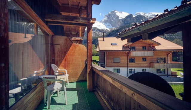 Hotel Alpina