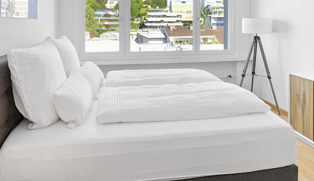 Mountain View Business Apartment, Fiber, Netflix