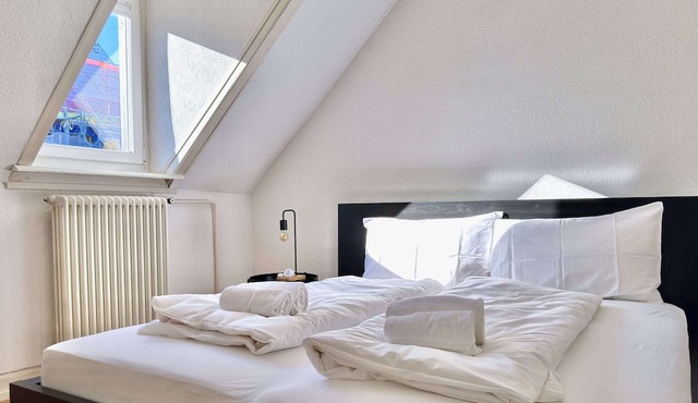 Charming Two-bedroom Attic Flat in Zurich City Center