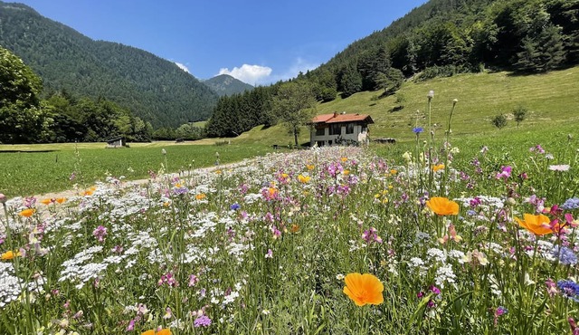 Natural Chalet, Alpine experience between Grada and the Dolomites in Trentino-Alto Adige
