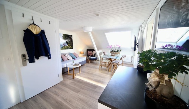 ALP APARTMENTS with self check-in