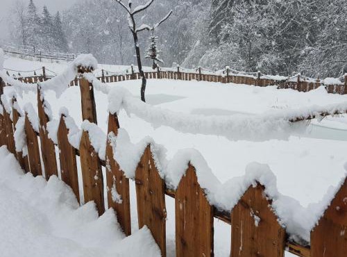 Laugen Lodge