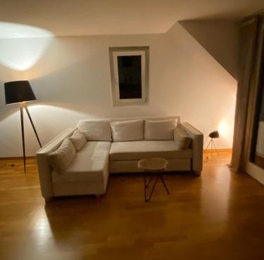 Stylish Room and private bathroom in lakefront apartment