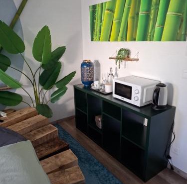 Jungle Dream
