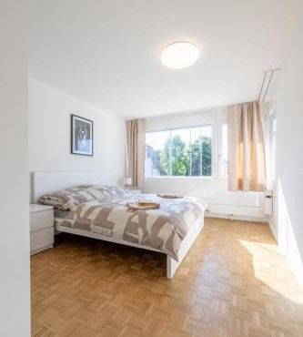 Bright Apartment in Thun, 50m to Lake Free Parking