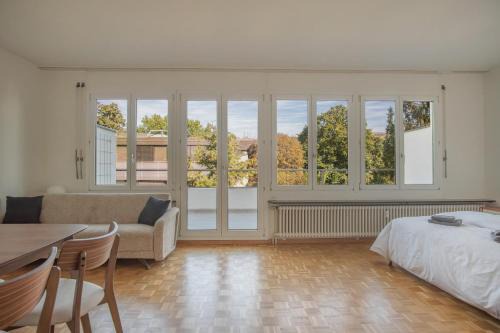 Top floor apartment with two terraces and BaselCard