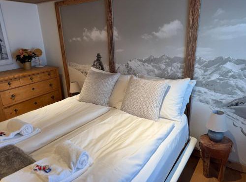 Swiss chalet near Flims