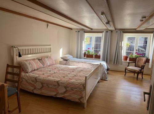 18th C Cottage near Basel, Hiking, Business, Couples, Families, Groups, Parking, Fast WiFi, Jura Mountains