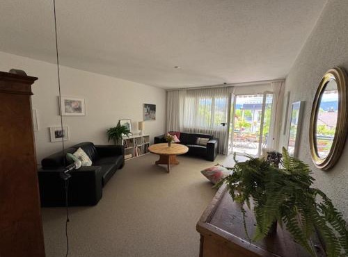 3 Zimmerwohnung mit Gartenterrasse, mitten im idyllischen Gais für 1 bis 3 Personen