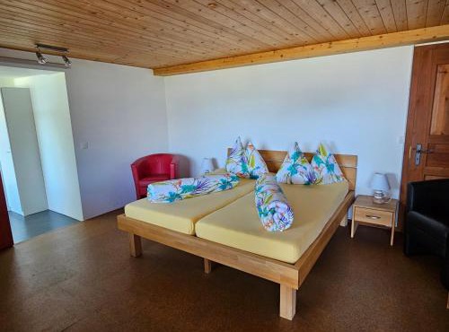 Försterhaus Dalin Ferienwohnung Schweizer Alpen