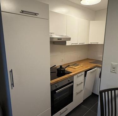 1 room apartment in Canton Zug