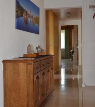 Grosse, schöne Wohnung im Grünen