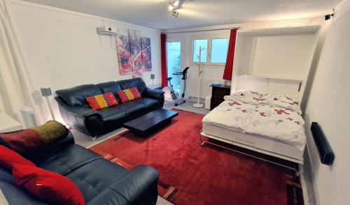 Hillside Homestay near Luzern by Menbergs Harmony Homestay