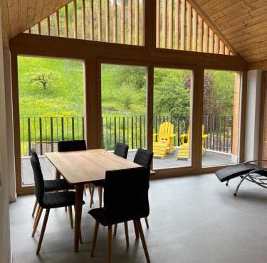 MARYS family friendly Apartments,VISIT RHINE FALLS for FREE if you stay 2 nights, SOHO 95m2 2-Bedrooms 2nd floor & SOUTH BEACH 105m2 3-Bedrooms & LOFT 115m2 3-Bedrooms Suite with Galerie,LOFT Netz 20m2, Pinball, Schaffhausen-Hemmental, Rheinfall 10 km