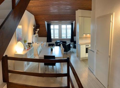 Superbe Duplex Vue Château et Lac