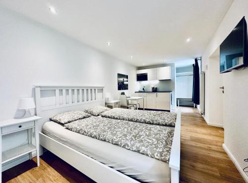 Business Apartment ZIMMERzuVERMIETEN in Solothurn