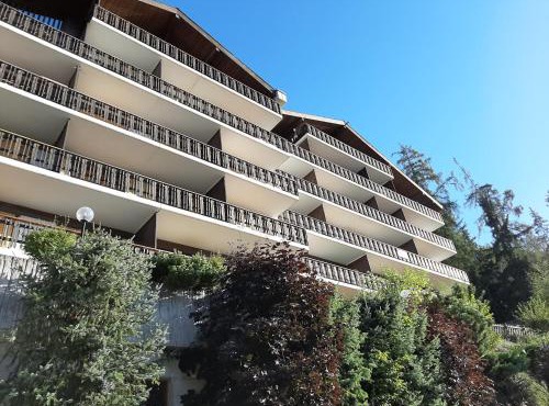The fox's family home - Veysonnaz