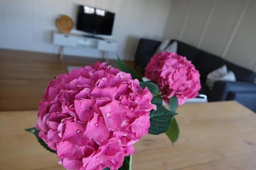 Modernes Apartment in historischem "Haus zur Rose"